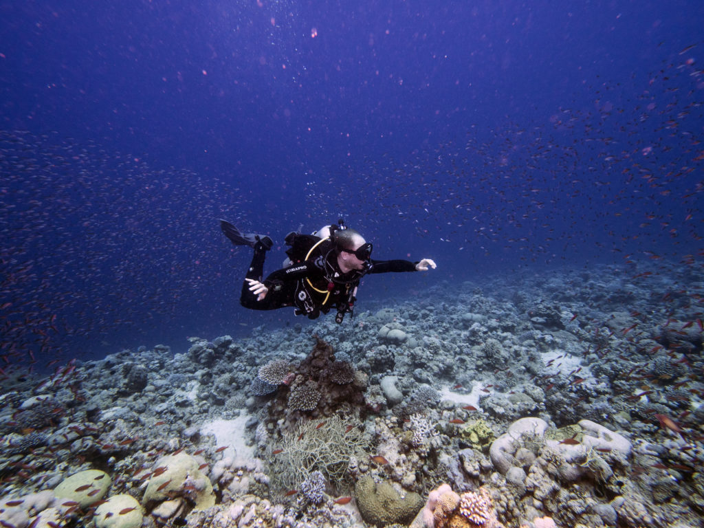 red-sea-dive-center-aqaba-jordan