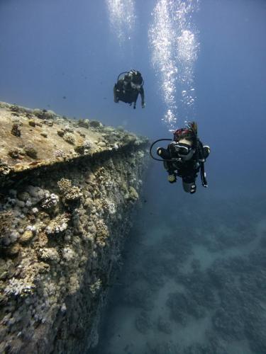 Red_Sea_Dive_Center_ Aqaba_Jordan_Diving in Aqaba