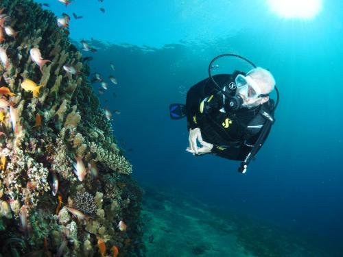 mohammed-almomany-red-sea-dive-center-aqaba underwater-diving-in-aqaba